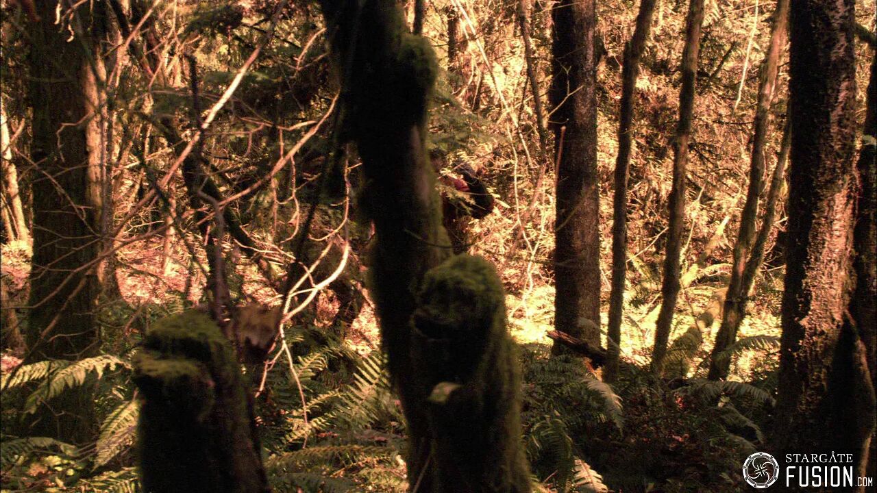 Chasse à l'homme
