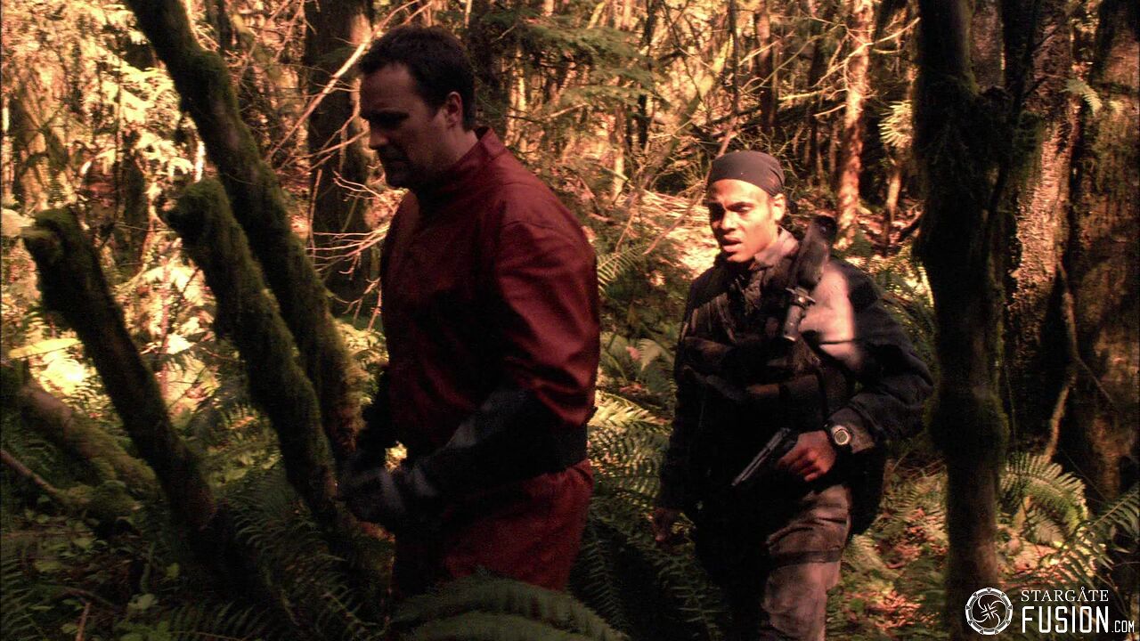 Chasse à l'homme
