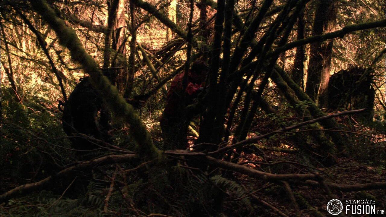 Chasse à l'homme