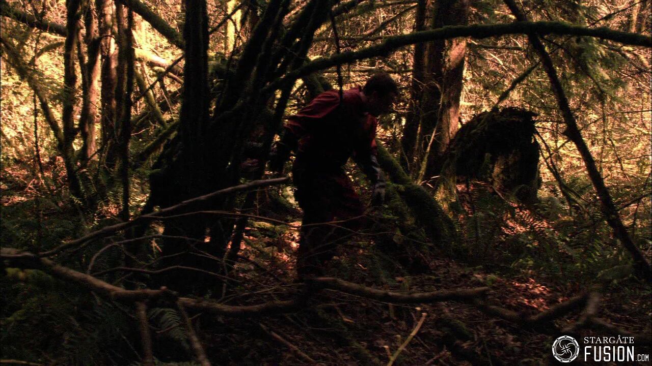 Chasse à l'homme