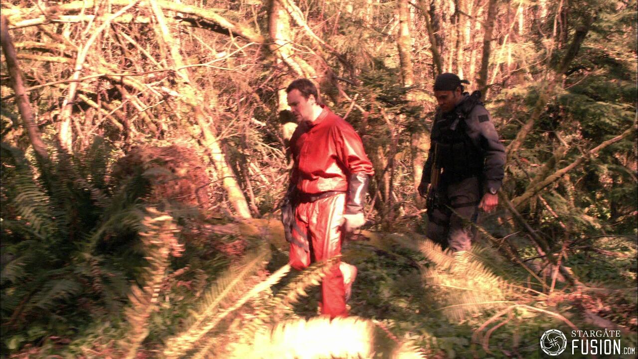 Chasse à l'homme