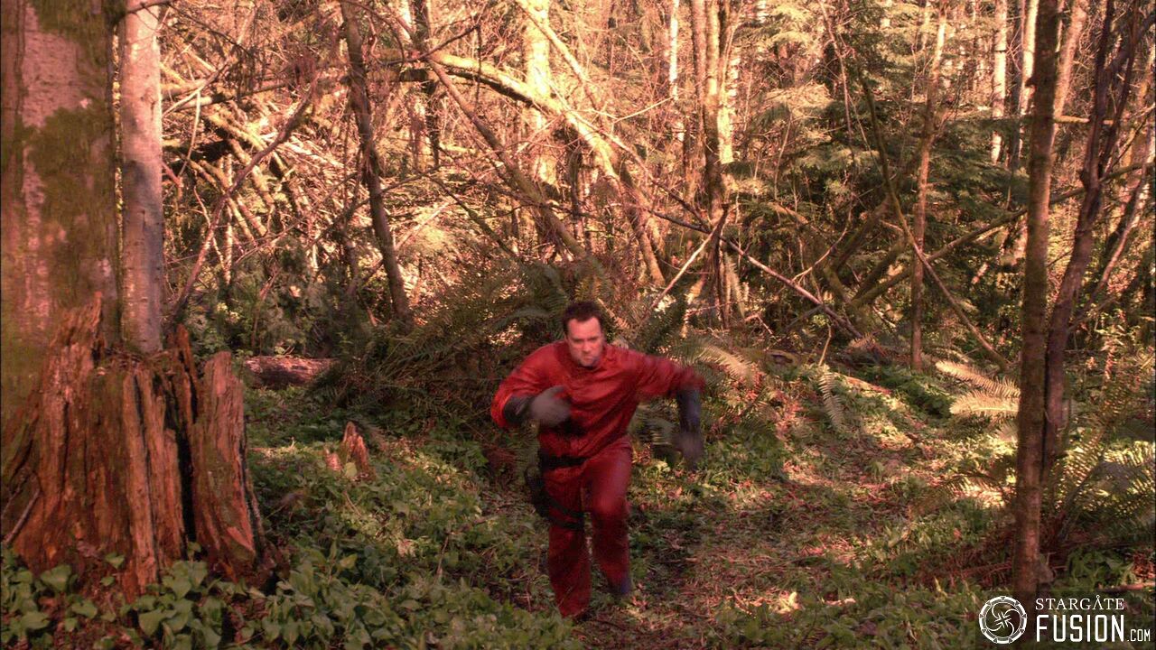Chasse à l'homme