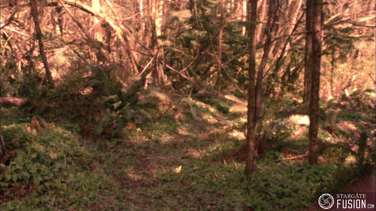Chasse à l'homme