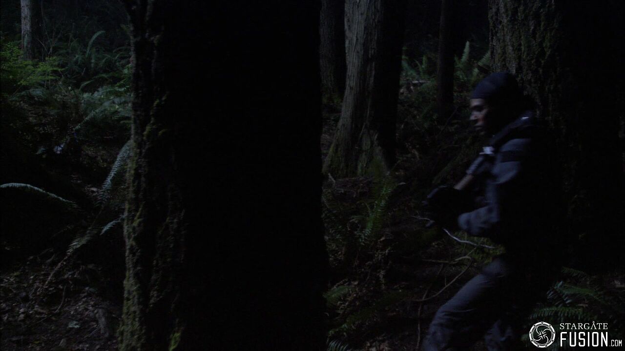 Chasse à l'homme