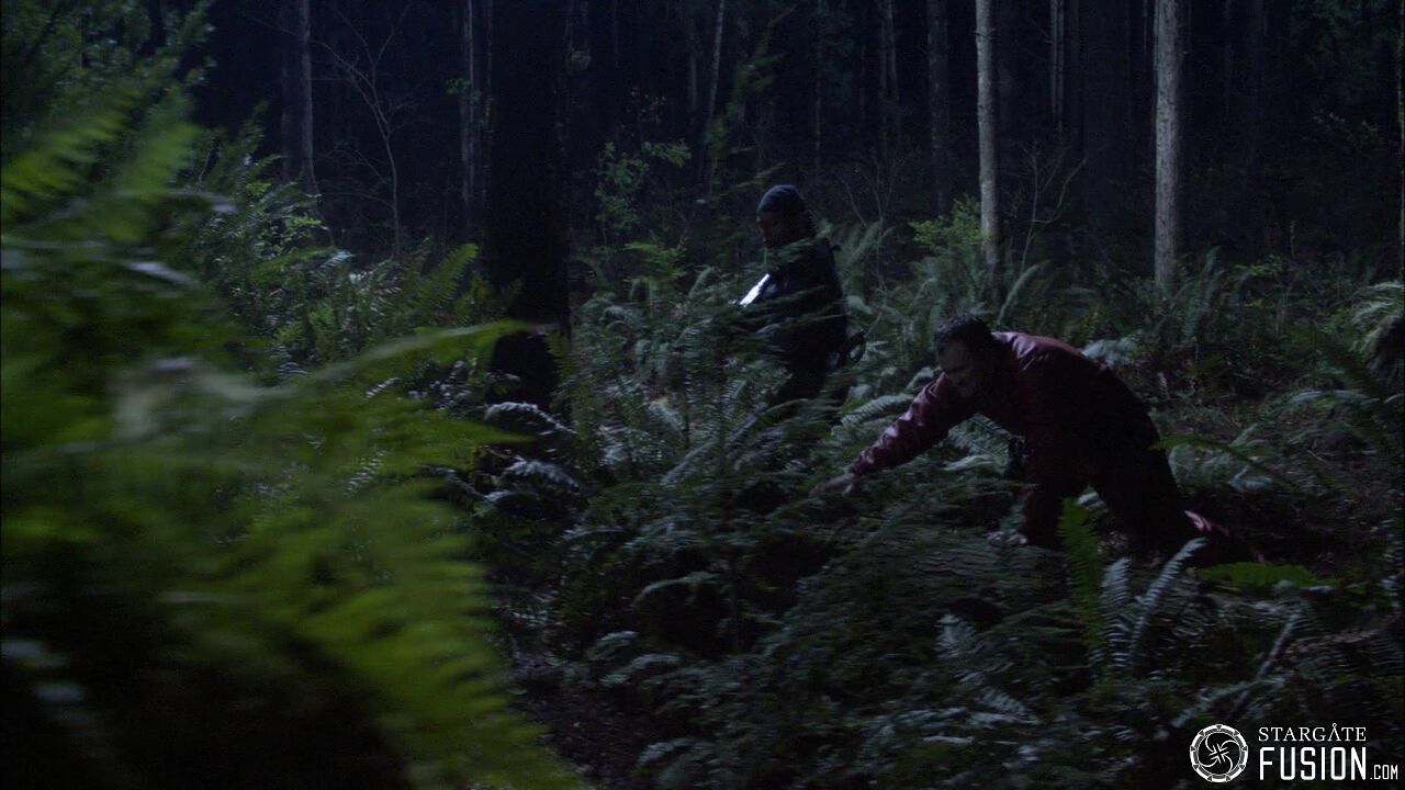 Chasse à l'homme