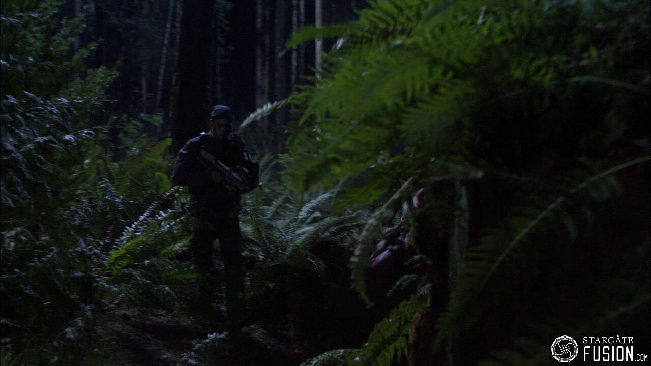 Chasse à l'homme