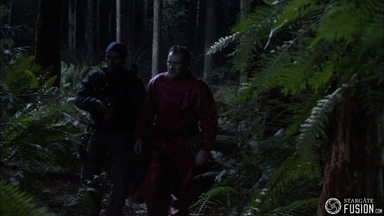Chasse à l'homme