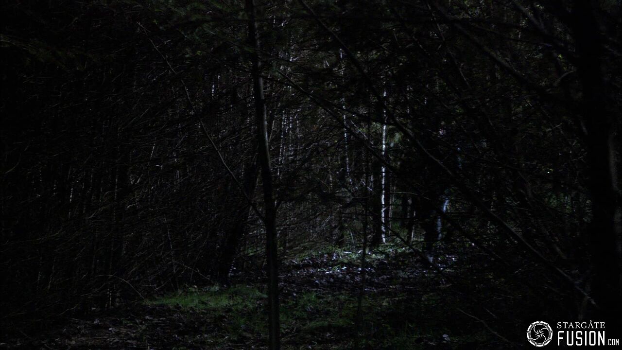Chasse à l'homme