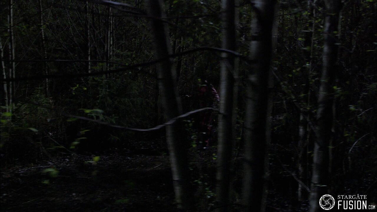 Chasse à l'homme