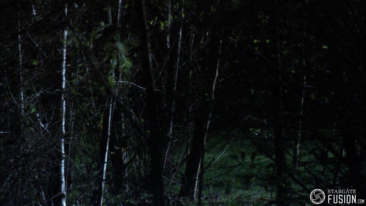 Chasse à l'homme