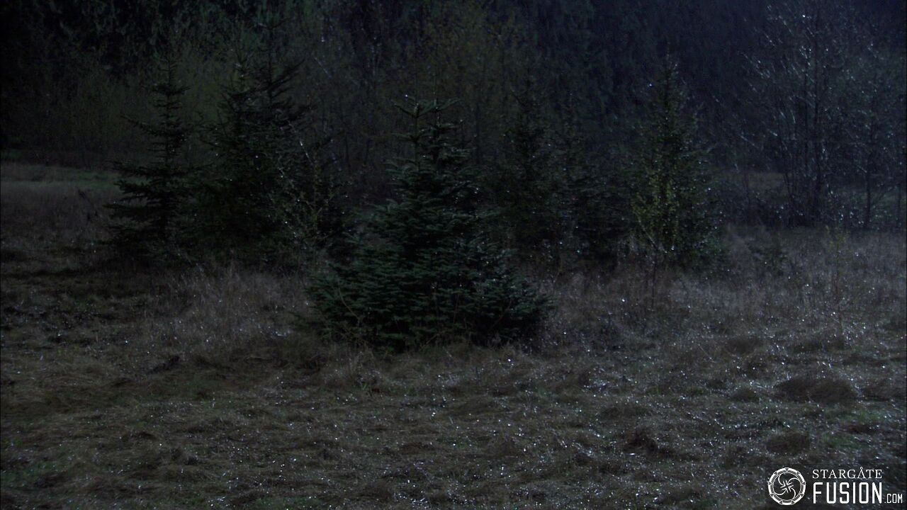 Chasse à l'homme