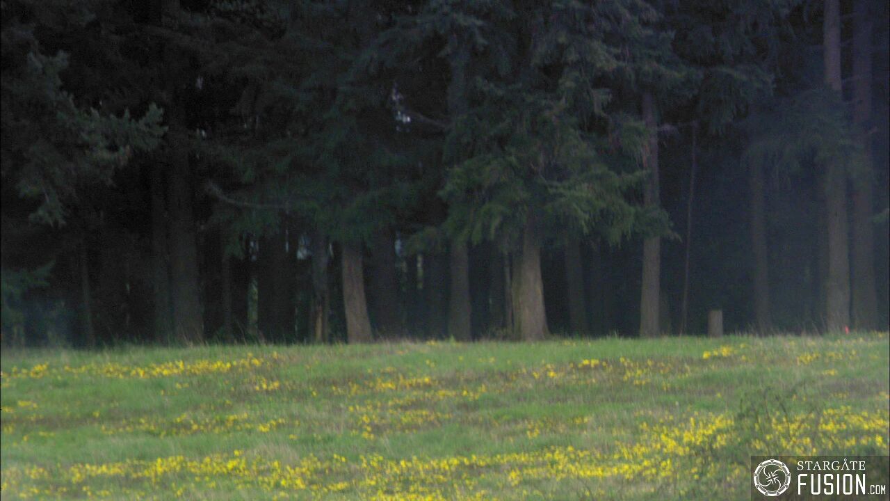 À corps perdu