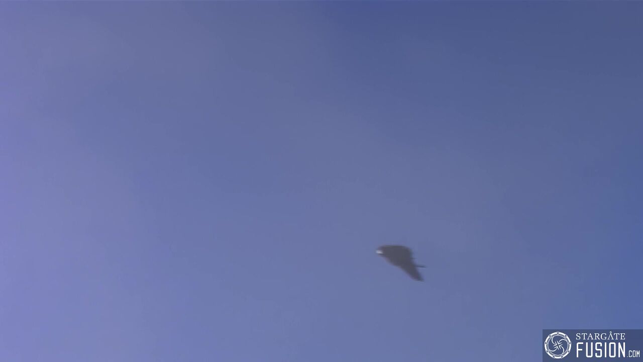 La tête à l'envers