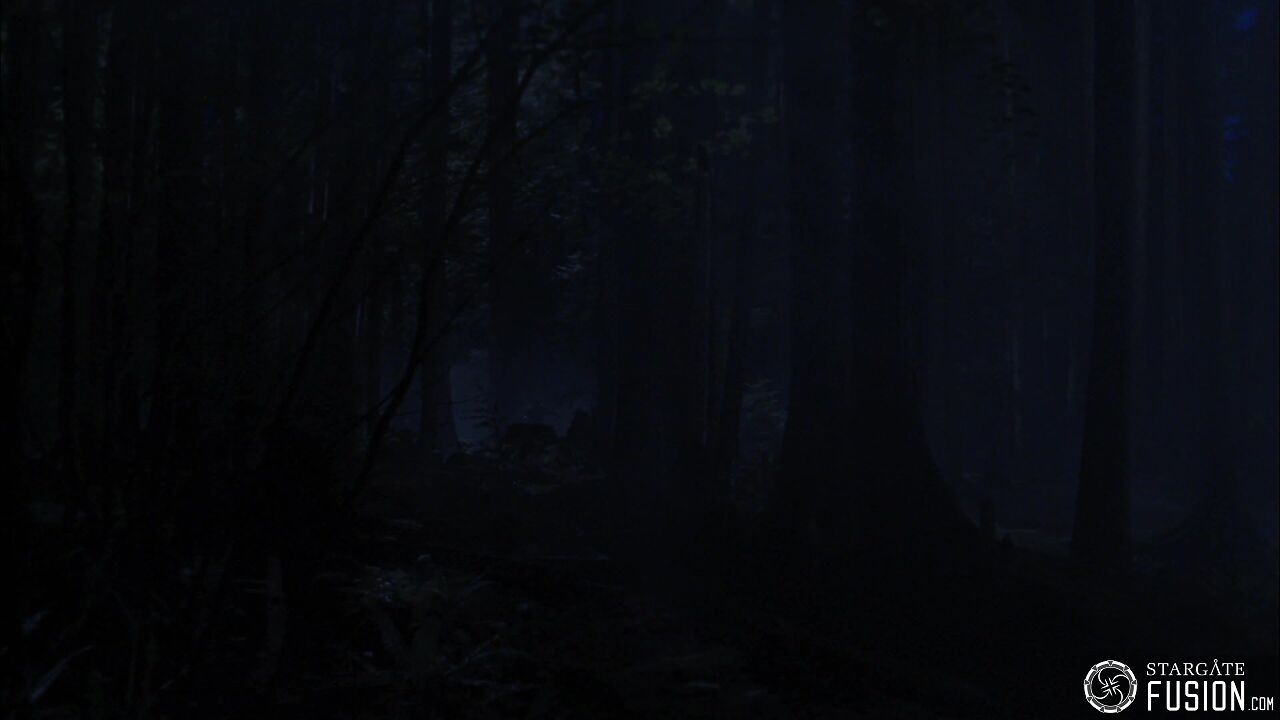 Terre d'asile