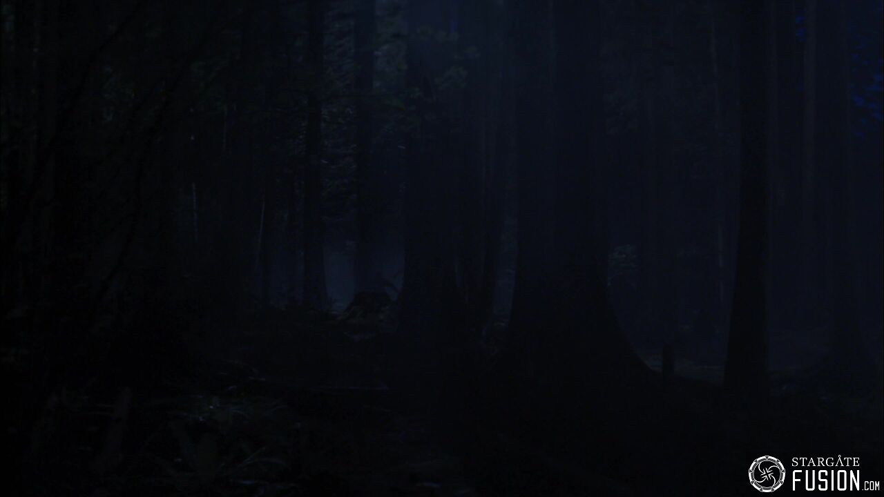 Terre d'asile