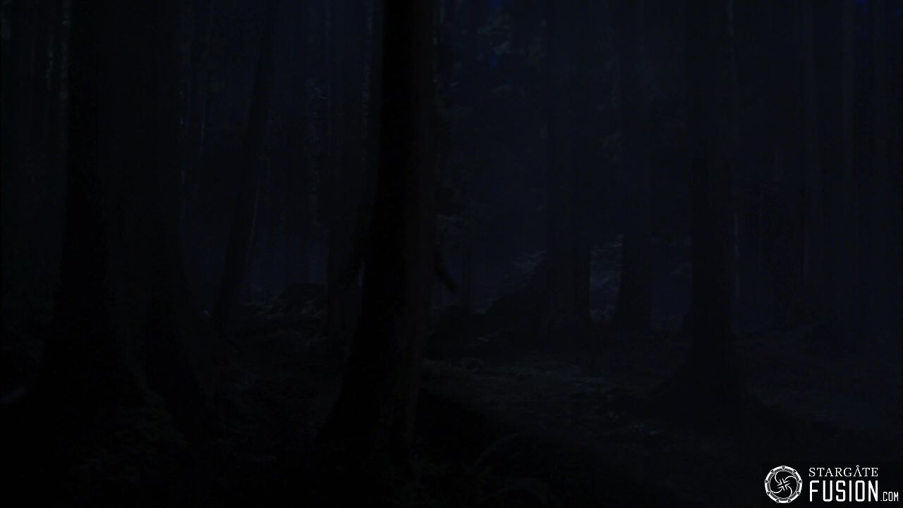 Terre d'asile