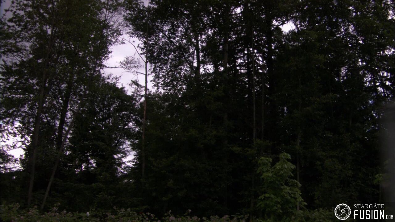 Terre d'asile