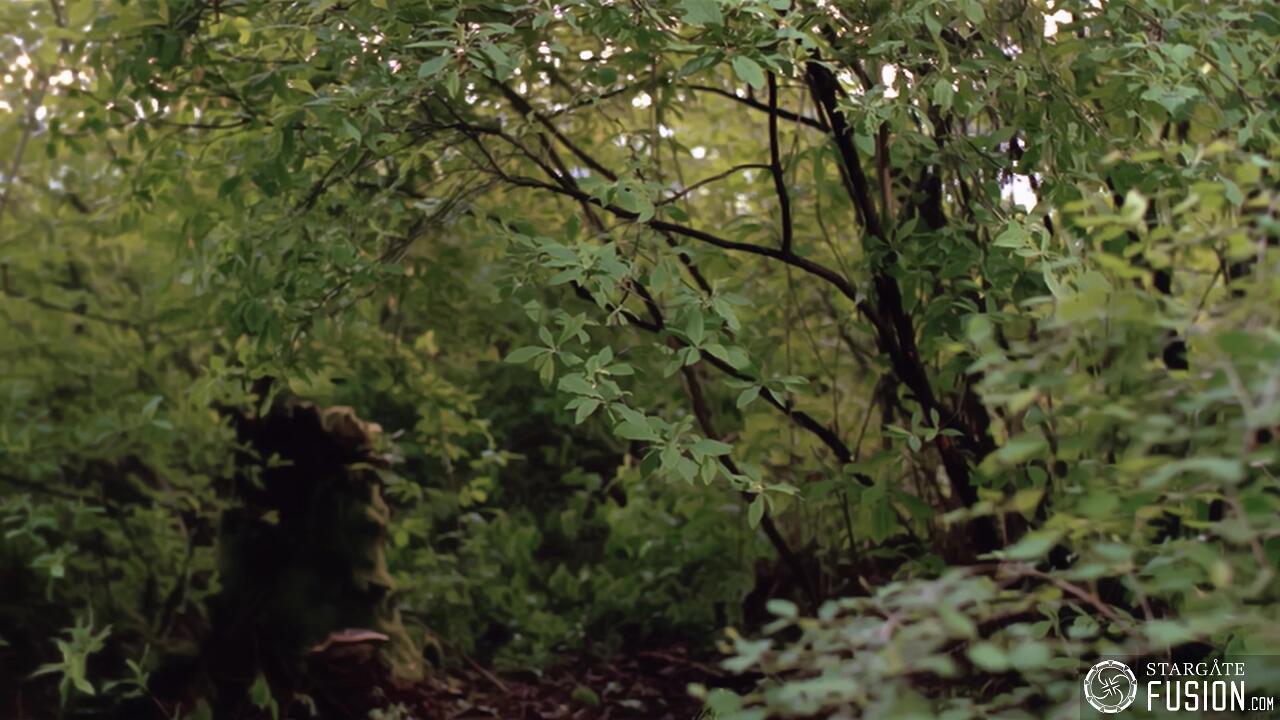L'Œil de pierre