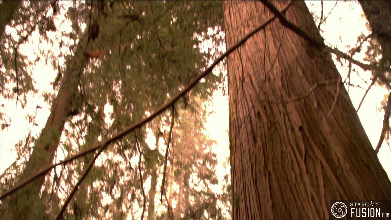 La créature