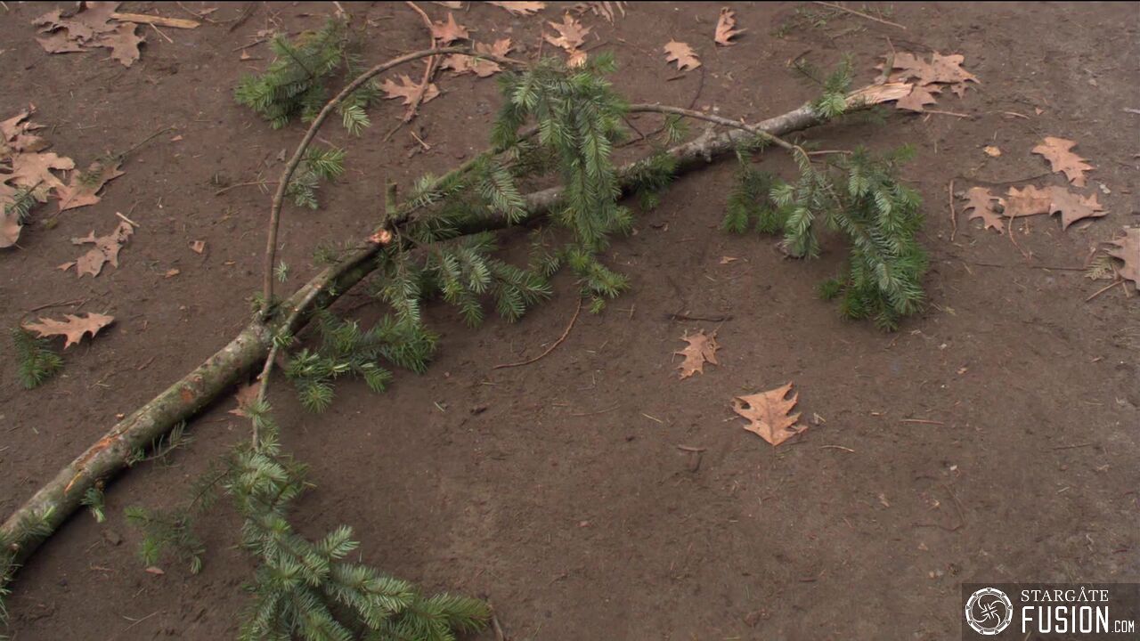 La créature