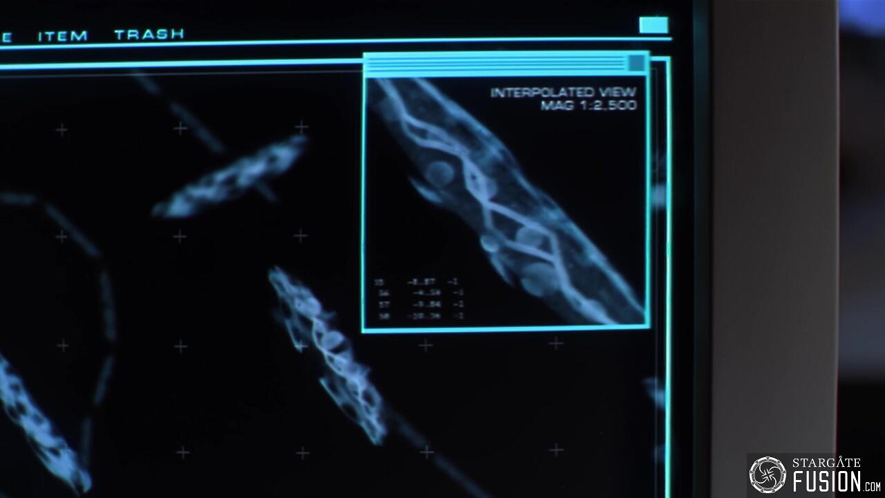 Message dans une bouteille