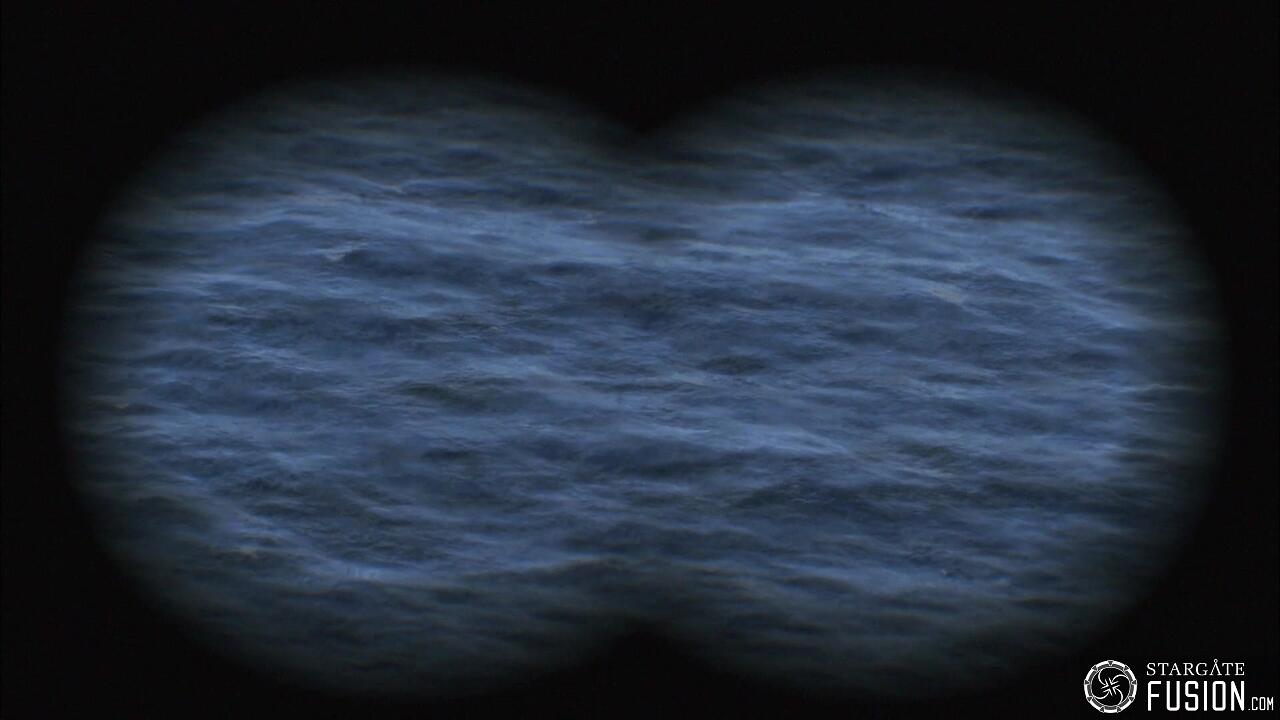 Le chant des baleines