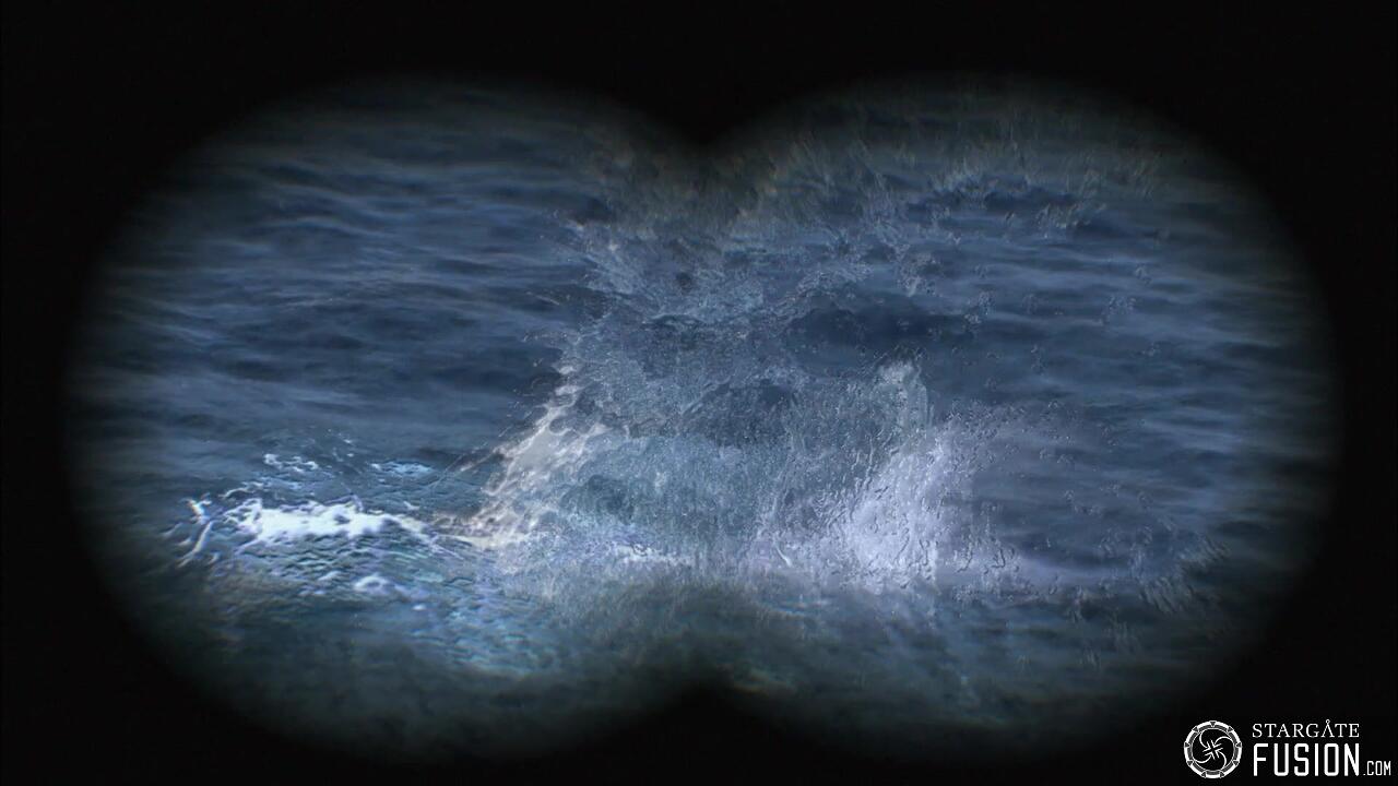 Le chant des baleines