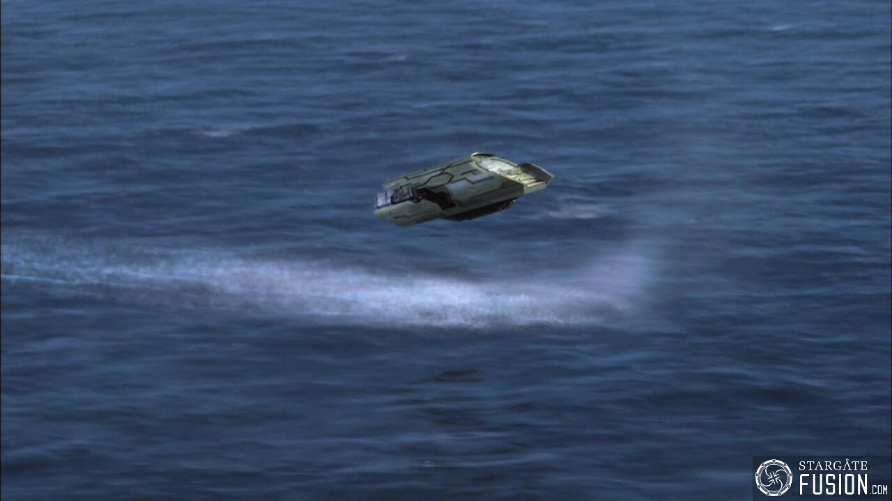 Le chant des baleines