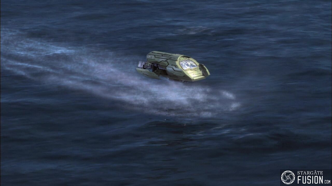 Le chant des baleines
