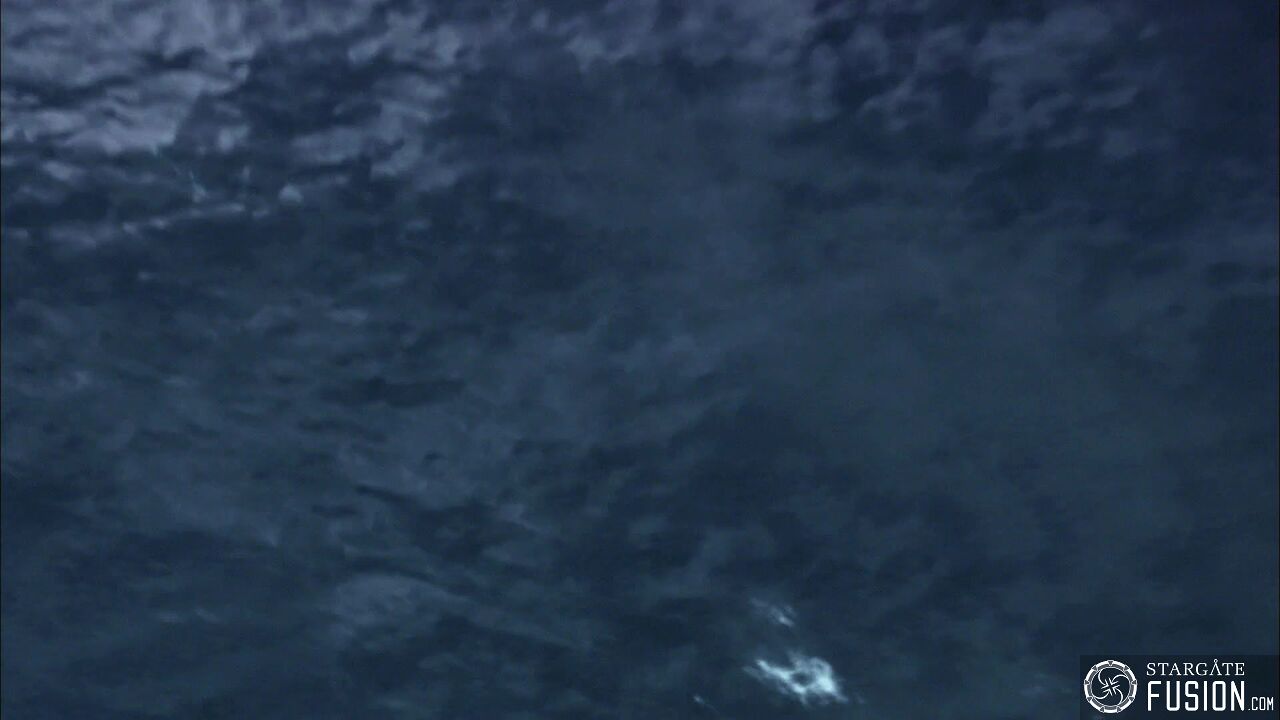 Le chant des baleines