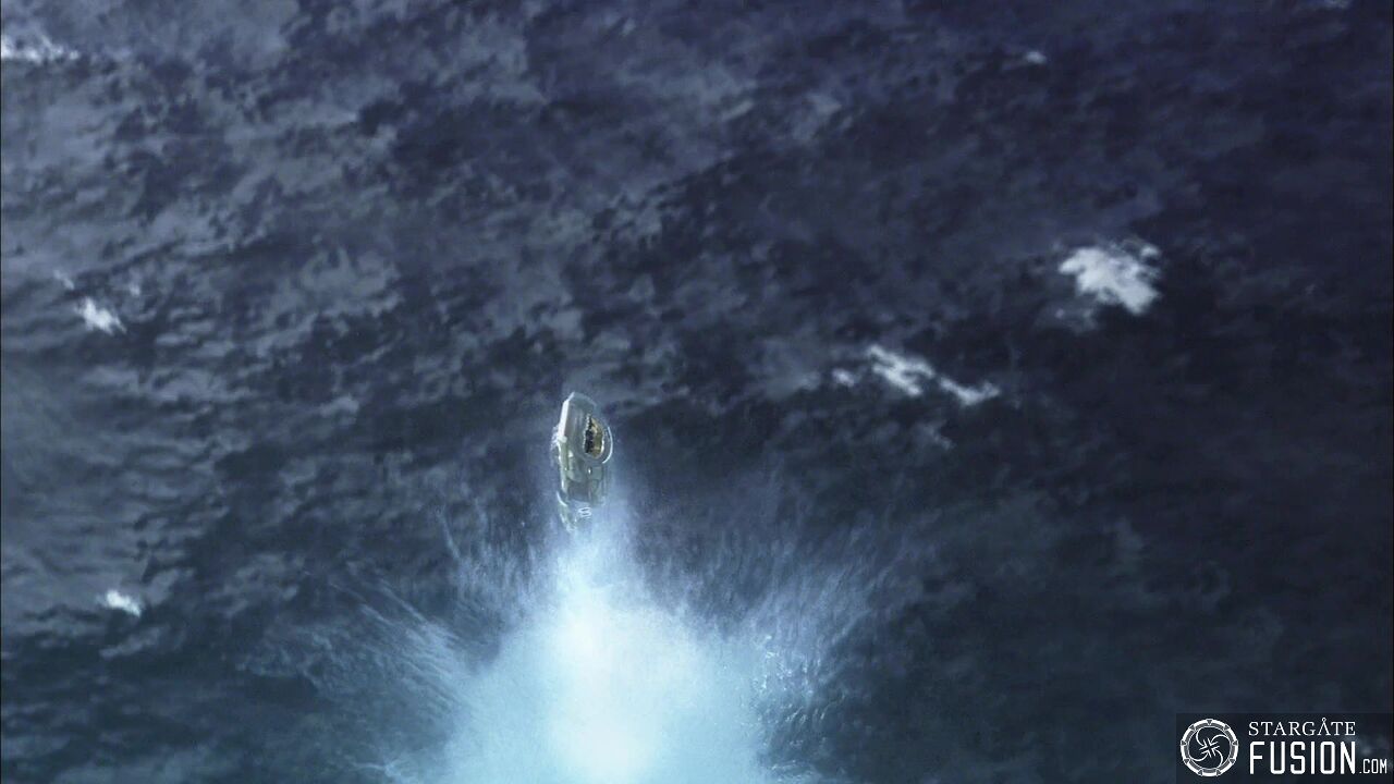Le chant des baleines