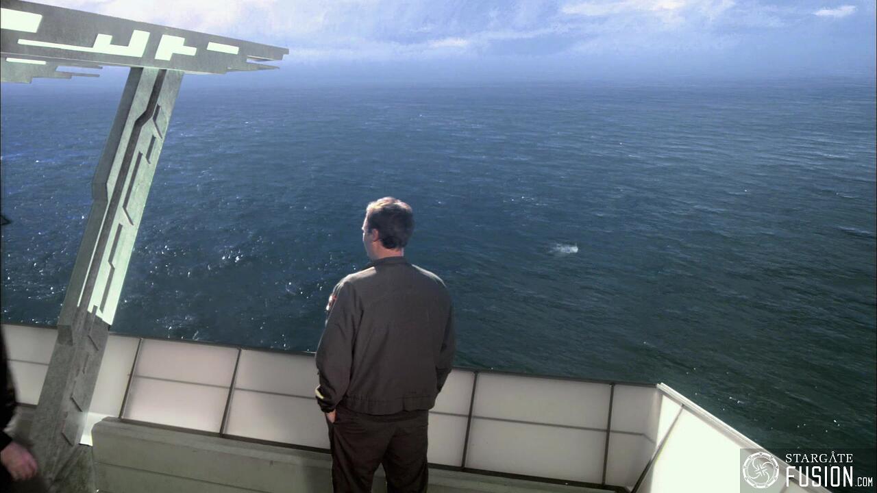 Le chant des baleines