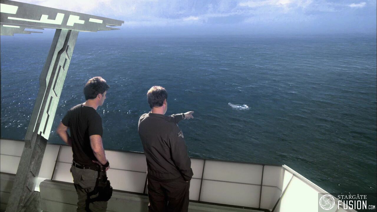 Le chant des baleines