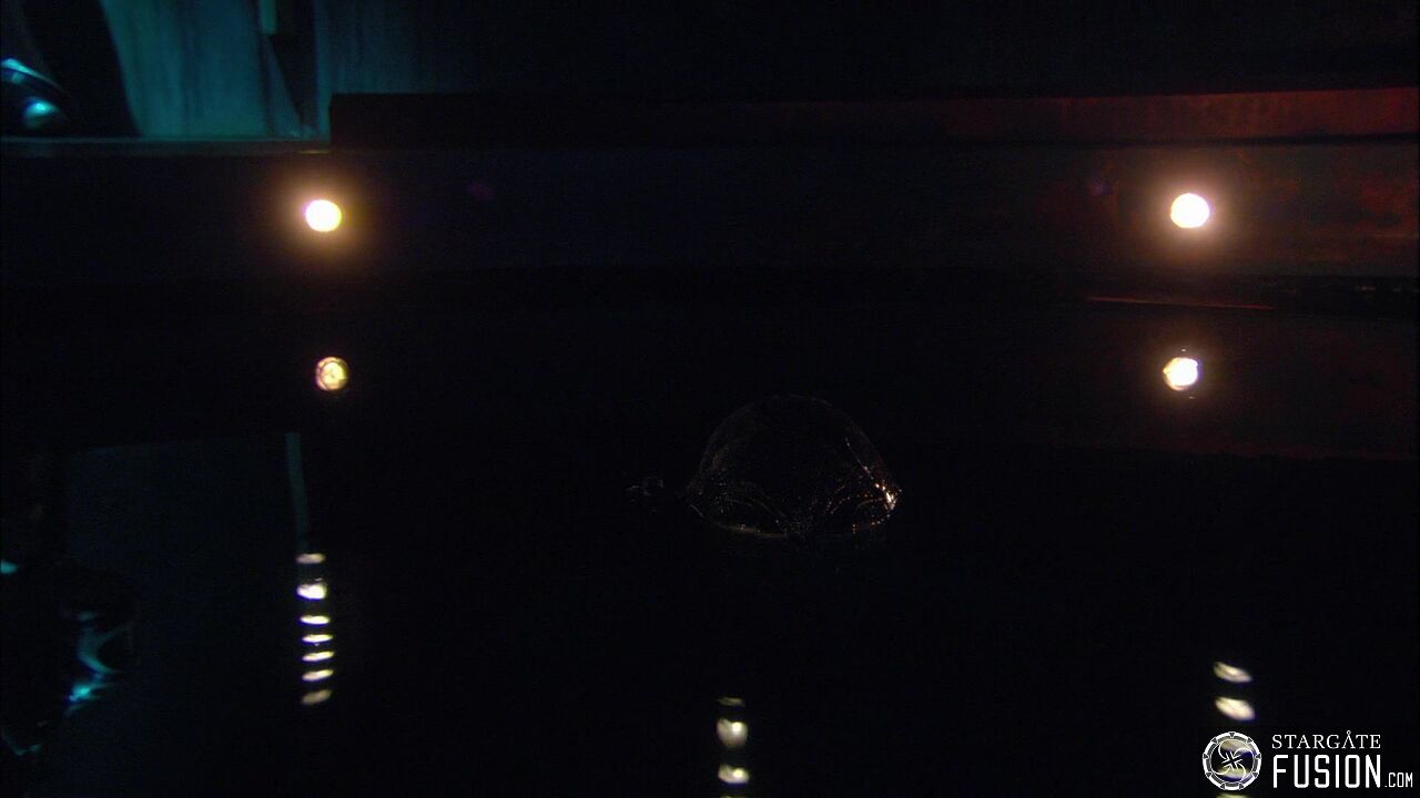 Immersion