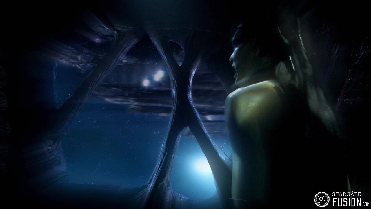 Immersion