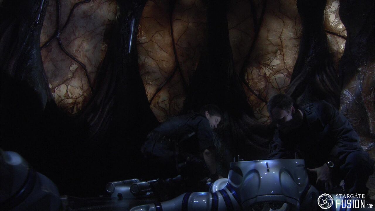 Immersion