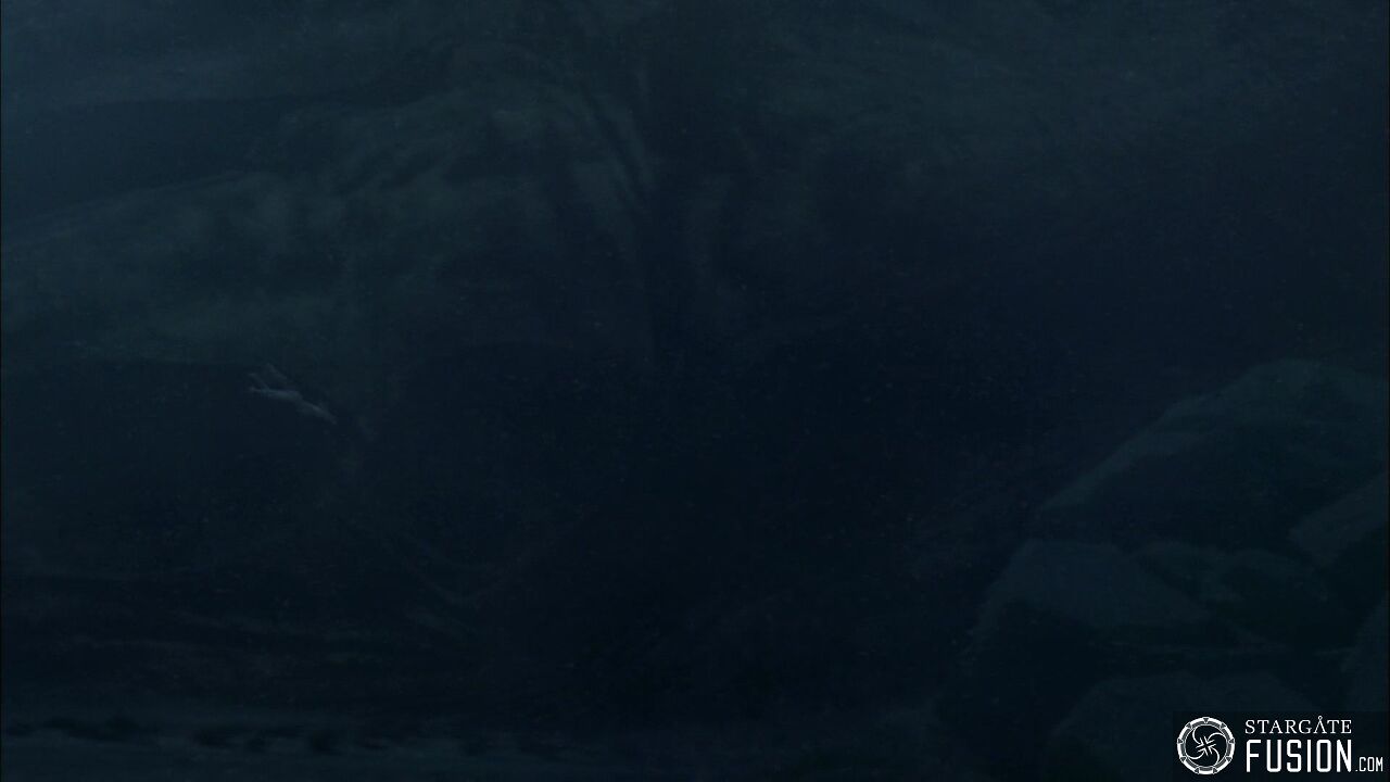 Immersion