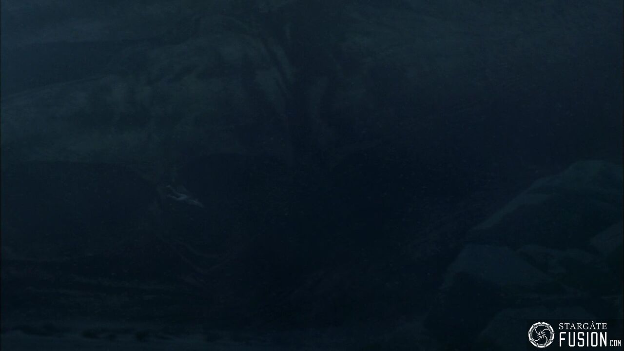 Immersion