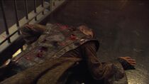 La symbiose du mal