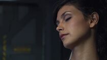 La symbiose du mal