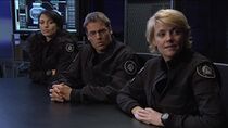 La symbiose du mal