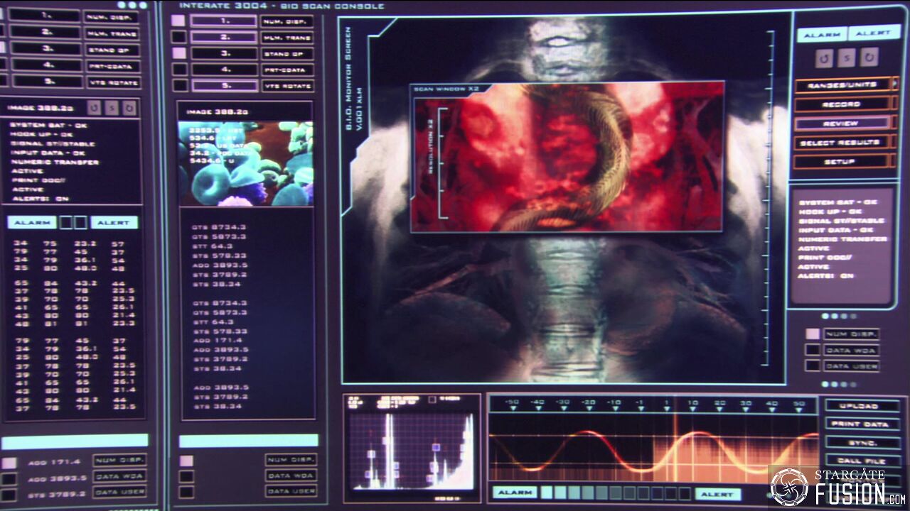 La symbiose du mal