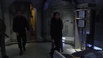 La symbiose du mal