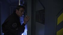 La symbiose du mal