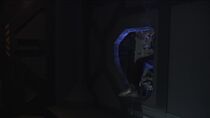 La symbiose du mal
