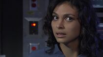 La symbiose du mal