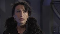 La symbiose du mal