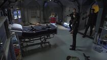 La symbiose du mal