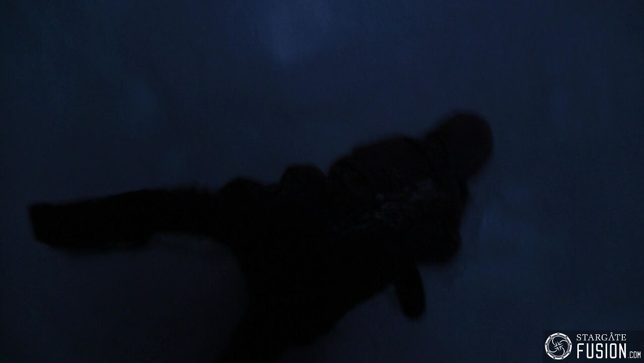 Continuum