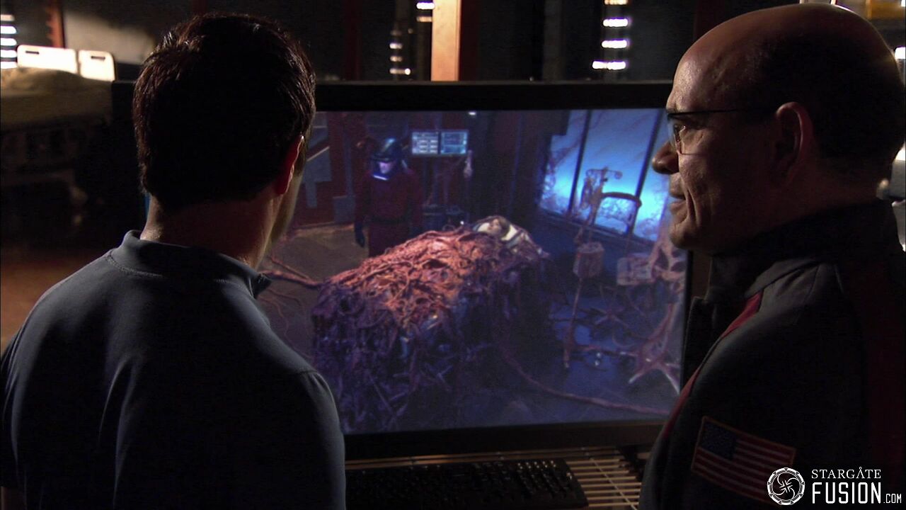 Contamination
